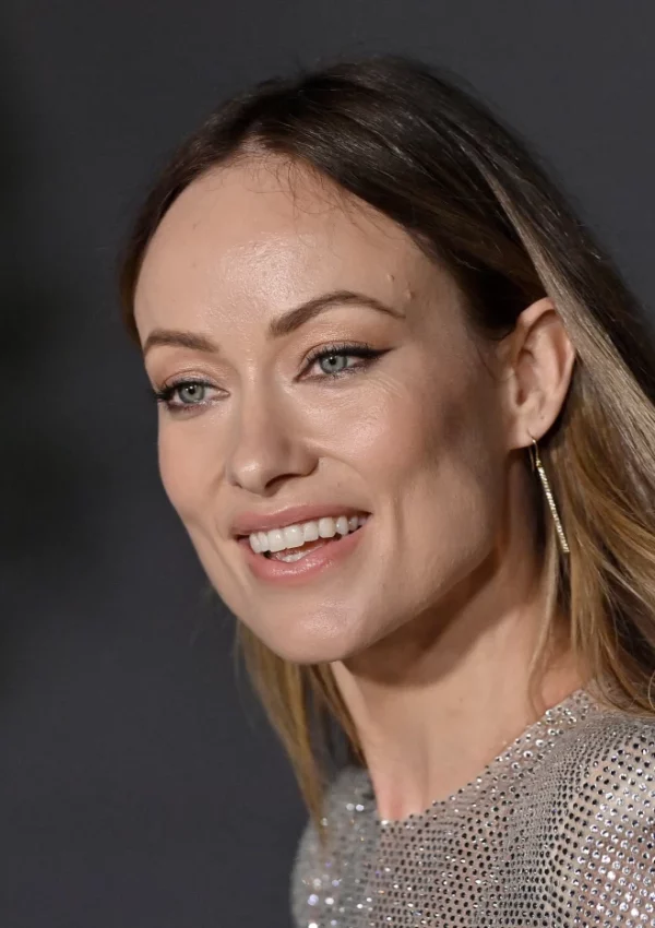 Olivia Wilde Make Heads Turn in a Risque Transparent Shimmery Dress
