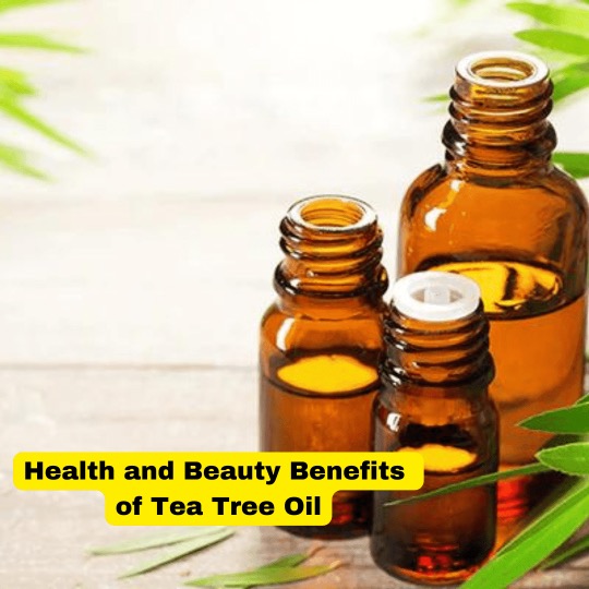 Tea Tree Oil: Your All-Natural Health and Beauty Buddy