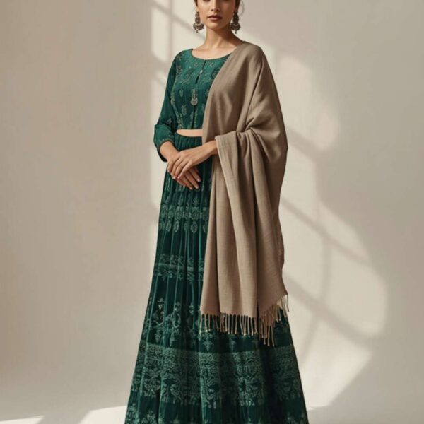 Winter Wedding Guest Outfits for Women in India: 10 Looks That Are Warm and Stylish
